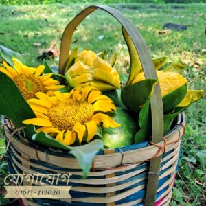প্যাকেজ–১: ১১ কেজি আম (১,৩০০ টাকা)