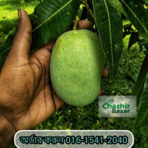 ১১ কেজি রাজশাহীর কেমিক্যাল মুক্ত ল্যাংড়া আমের মূল্য